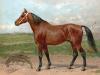 American Race Horse by Eerelman